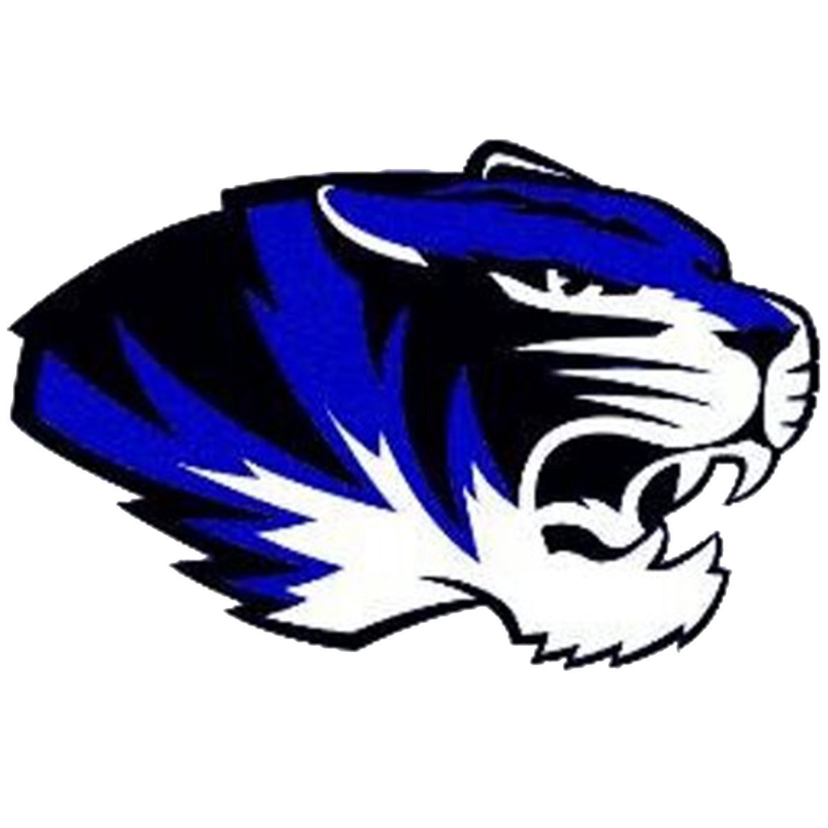 Stroud Tigers logo